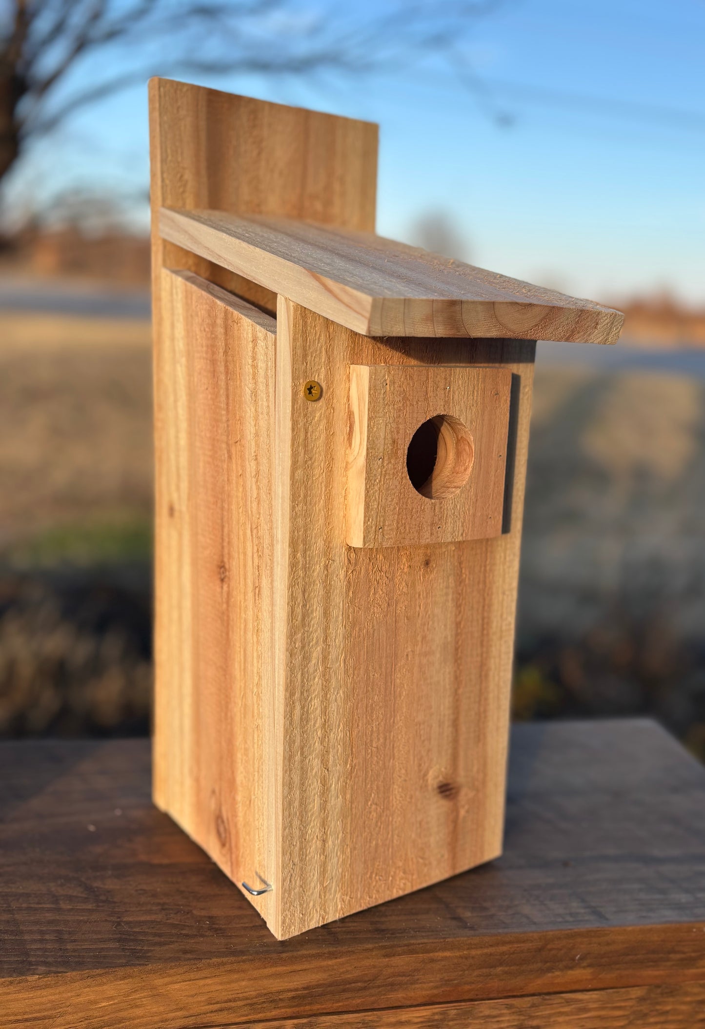 Cedar Bluebird House