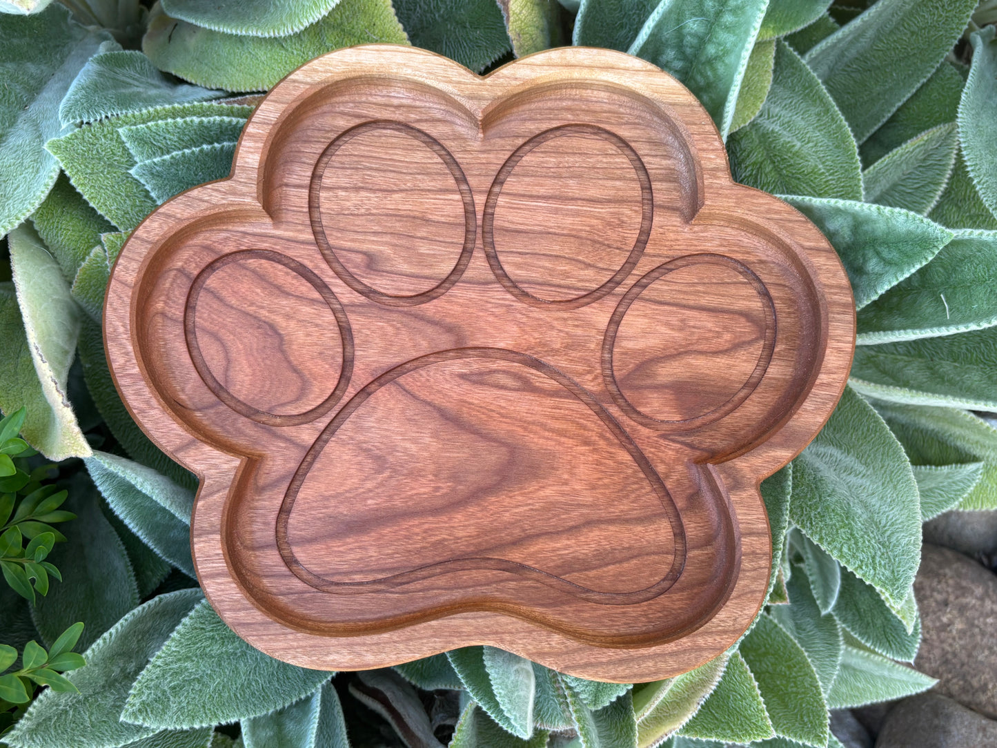 Dog Paw Shaped Tray Cherry Wood Organizer Five Compartment Storage Solution Handcrafted Wooden Catch All Entryway Key Holder Jewelry Storage Wallet Organizer Small Item Collection Pet Lover Gift Walrus Oil Finish Natural Wood Grain Seven